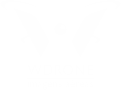 WDRONE
